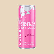 Red Bull Waldbeere (255ml)